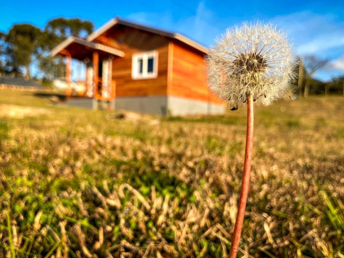 Pousada Flor Do Campestre Urubici Zewnętrze zdjęcie